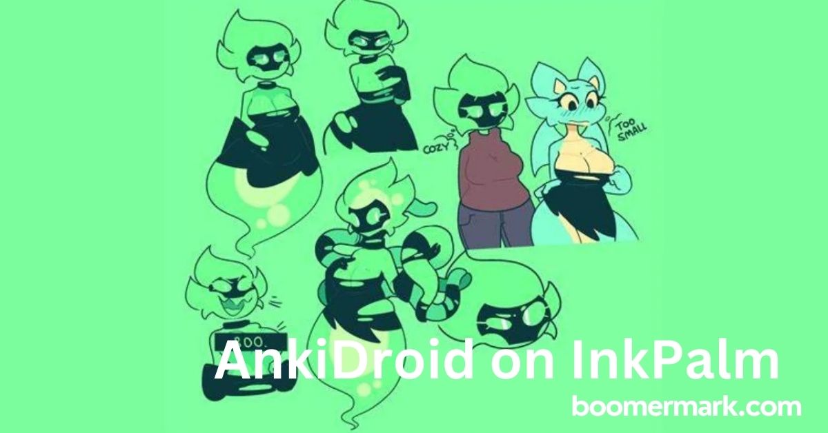 AnkiDroid on InkPalm