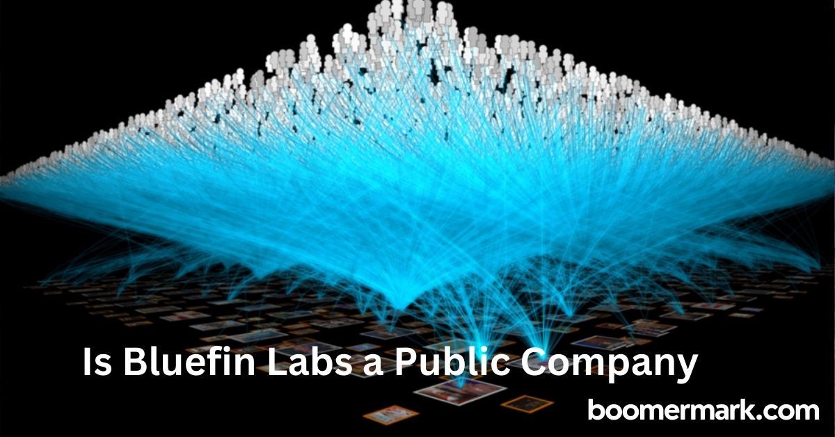 Is Bluefin Labs a Public Company